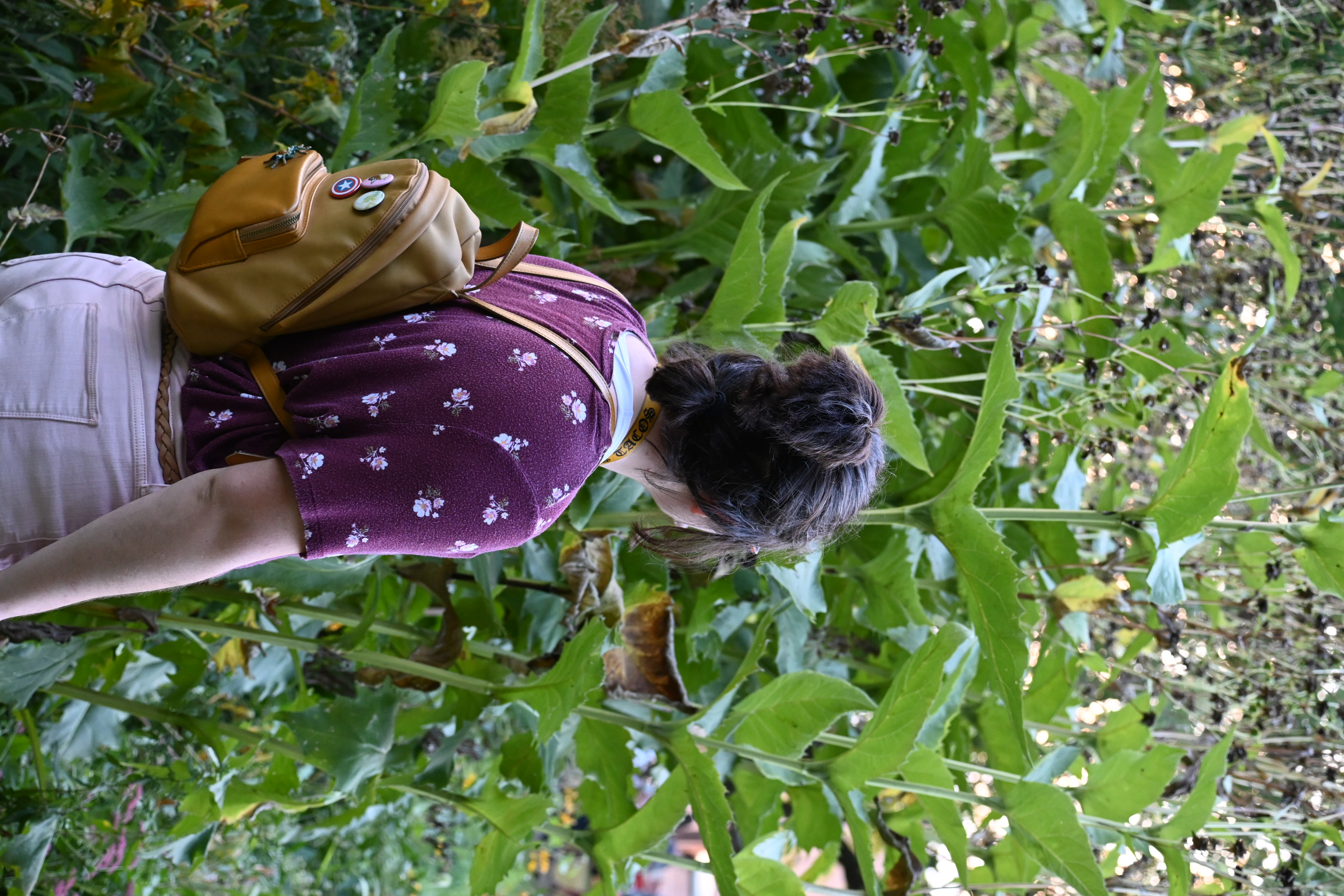 Nature 1